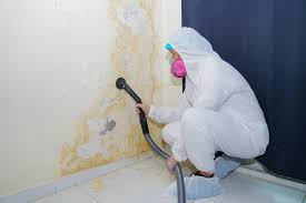 Best Industrial Mold Remediation  in Cedartown, GA